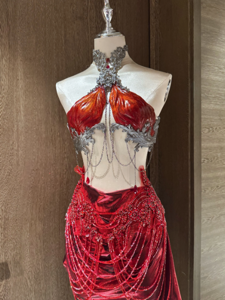 ZIWU Design Mermaid Outfit Ori - Women'S Accessories Designer review and price